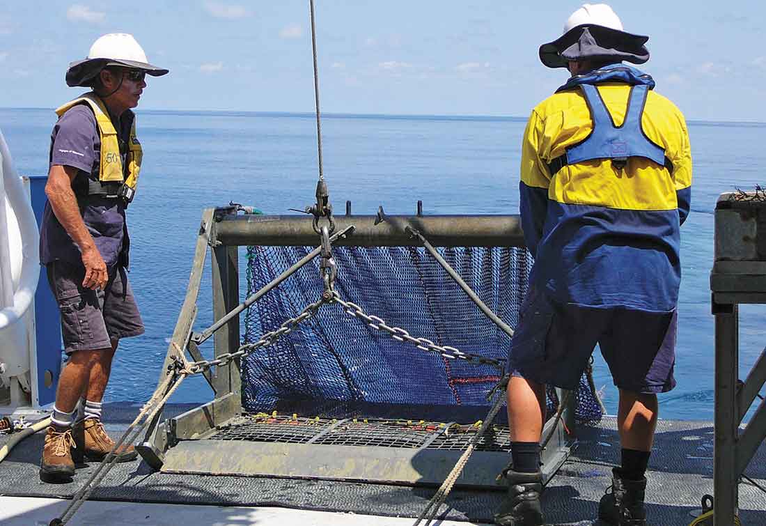 Researchers launching an epibenthic sled from ship deck.