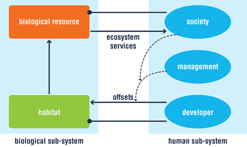 Diagram of marine system offset model.