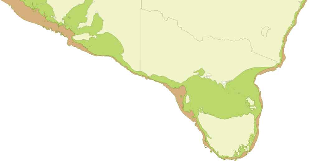 Map of south-east Australia showing Eagle Ray distribution.